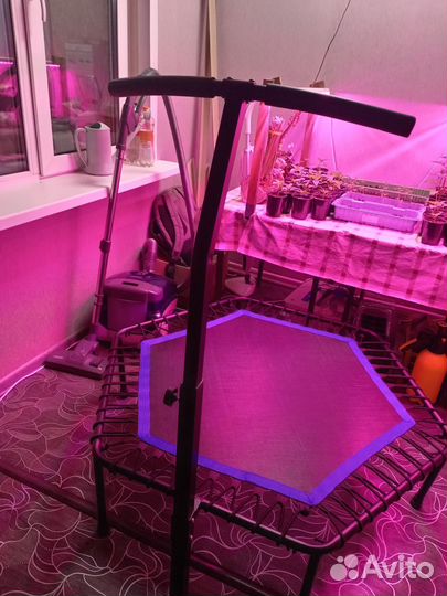 Батут для джампинга