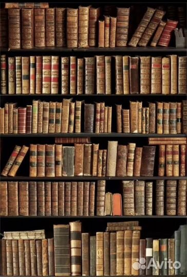 Фото фон для фотосесии в аренду