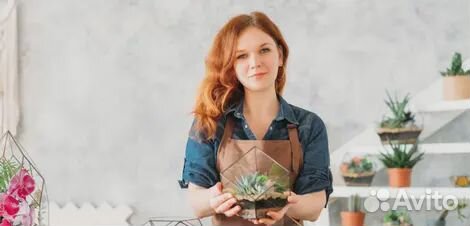 Мини-сад. Флорариум своими руками