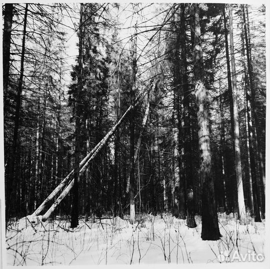 Объектив Вега-5У