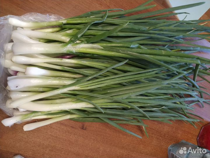 Лук зеленый