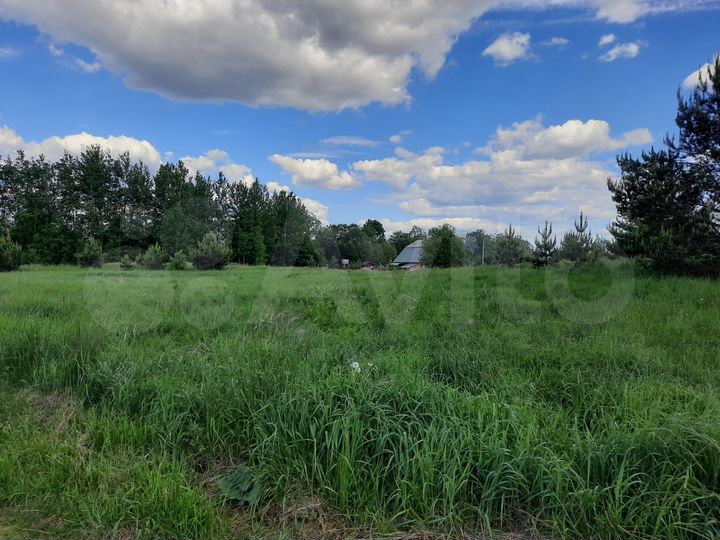 Участок 50 сот. (ИЖС)