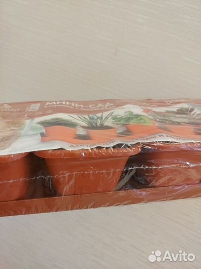 Горшки для рассады цветов