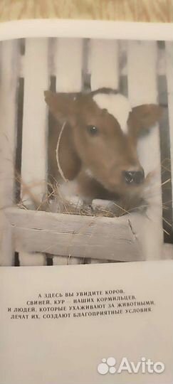 Путешествие на ферму