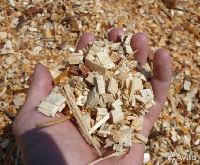 Рыба холодного копчения на опилках из Яблони