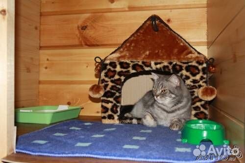 Гостиница для животных «Фауна»