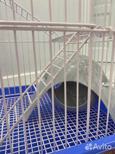 Большая клетка для крыс, шиншилы, морской свинки