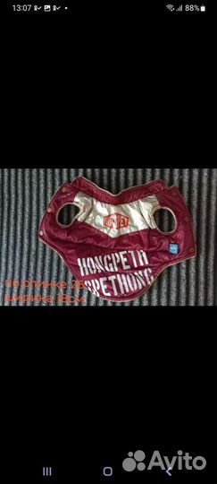 Одежда на маленькую собачку