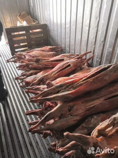 Баранина оптом