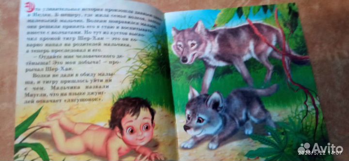 Маугли рассказ для детей
