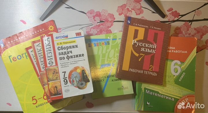 Рабочие тетради, атласы, подготовки к ВПР