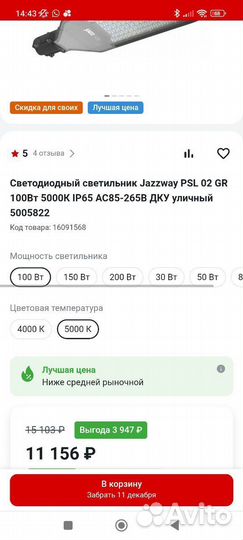 Светильник уличный LED 100W