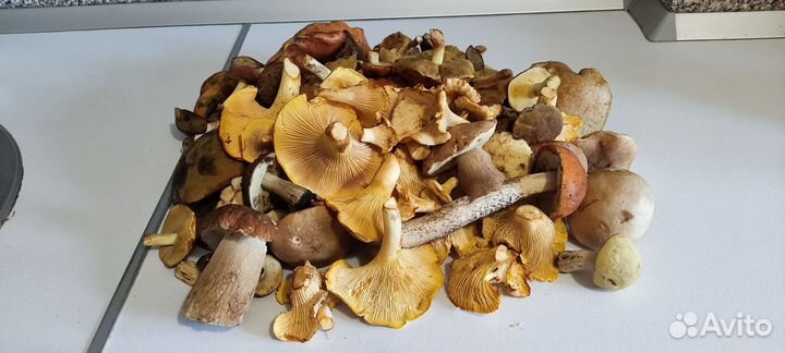 Грибы маринованные