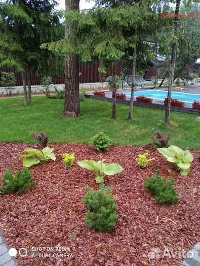 Рулонный газон арт.88