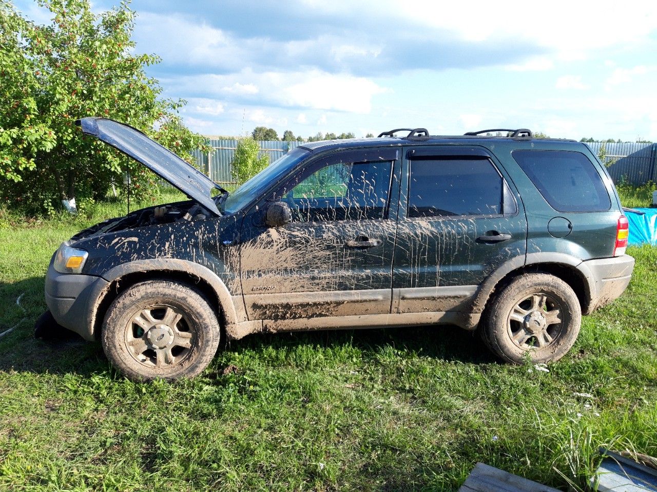 Ford Escape: фото владельца