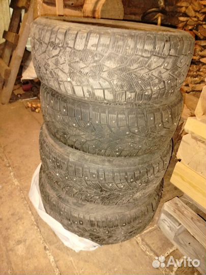 Gislaved NordFrost 100 195/60