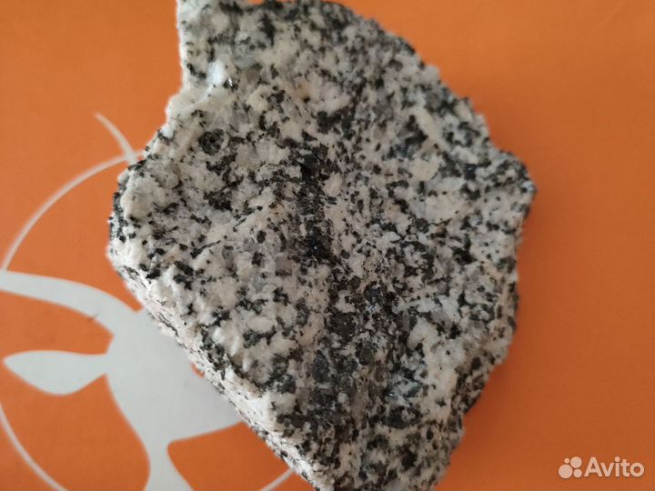 Камни, ракушки (в коробке)