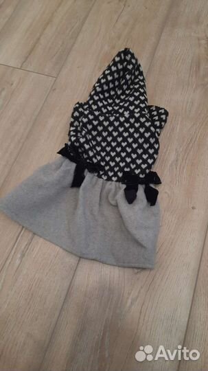 Одежда для собак