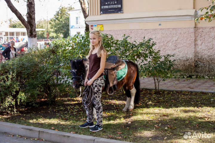 Верховые прогулки