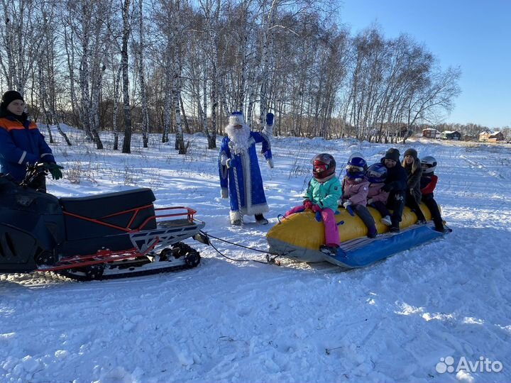 Дед Мороз в школу