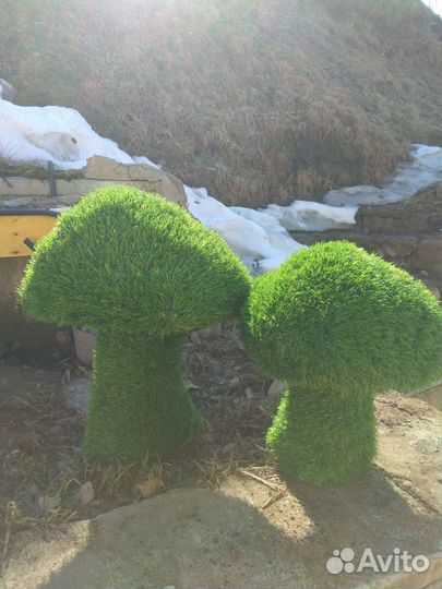 Топиарная фигура Гриб маленький