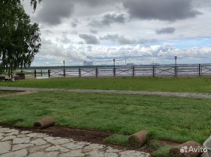 Полевой газон экономный от производителя