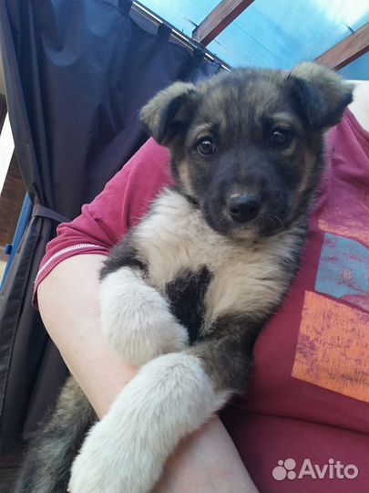 Мальчик в добрые ручки