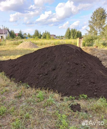 Чернозем
