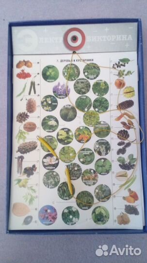 Электро викторина живая природа