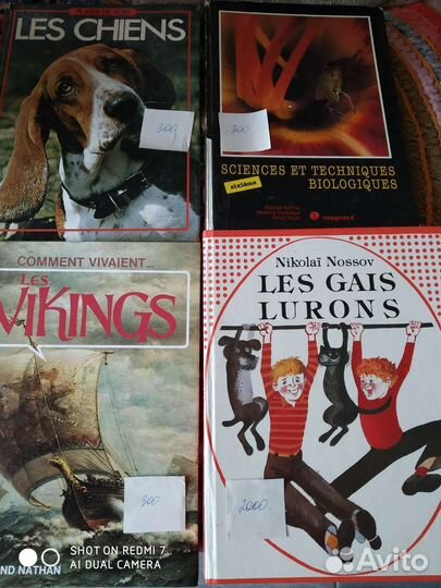 Детские книжки на французском