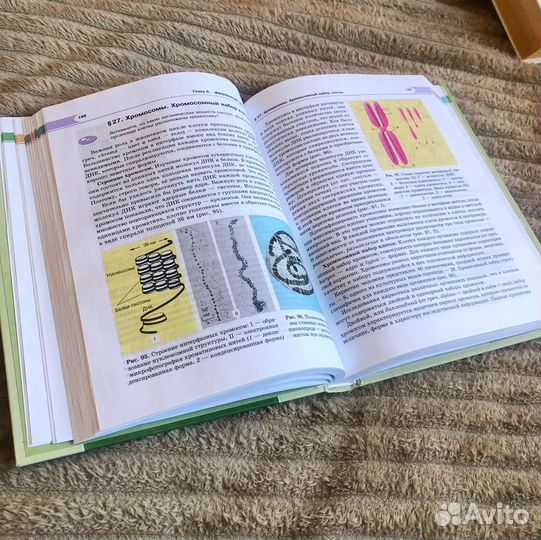 Учебник по биологии Петросова, Теремов