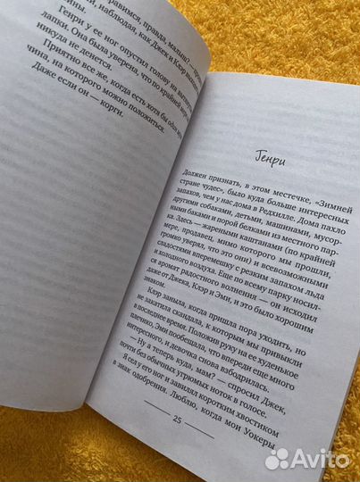 Корги по имени генри