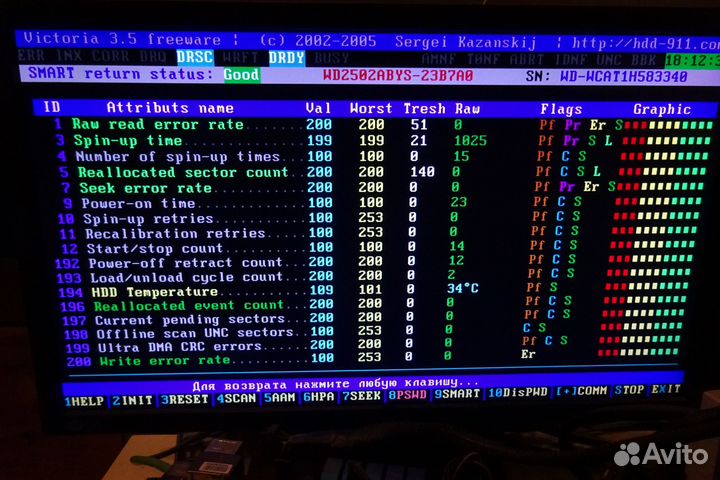 WD WD2502abys IBM 39M4508 250Gb SATA