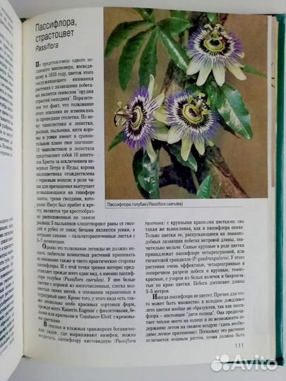 Книга мини-энциклопедия 