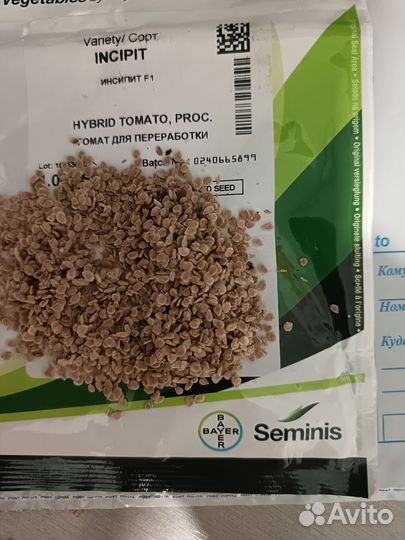 Семена томата для консервации инсипит голланлия