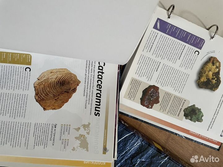 Минералы сокровища земли, три подшивки