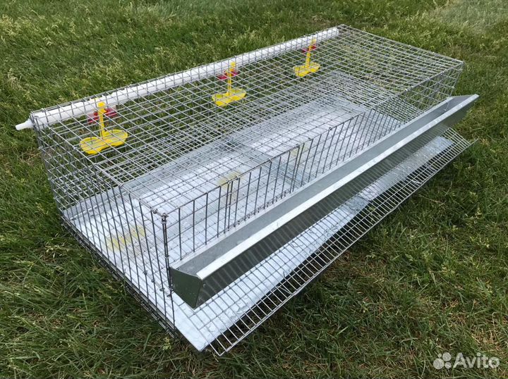 Клетка доя перепелов