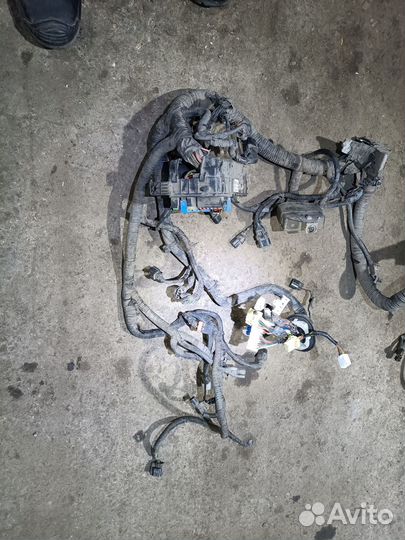 Проводка двигателя старекс 2002 2.5 АКПП 2 вд