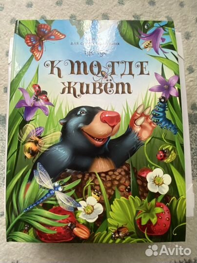 Книга-панорама