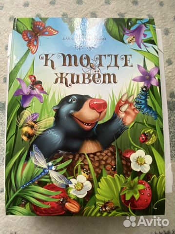 Книга-панорама