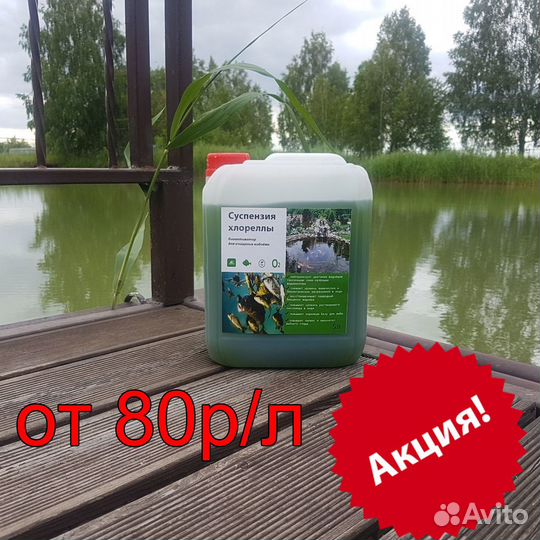 Хлорелла для водоемов