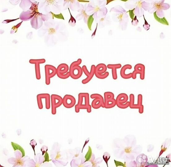 Продавец в зоомагазин