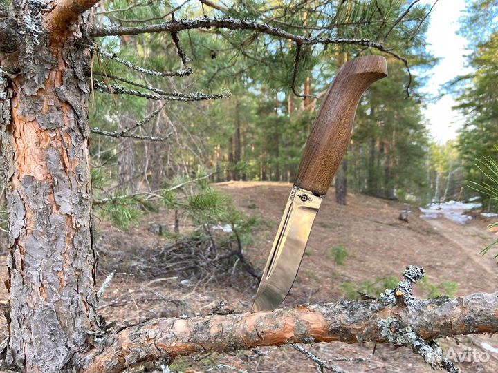 Финка Пуукко, орех