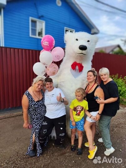 Шоу Звезд и аэромедведи