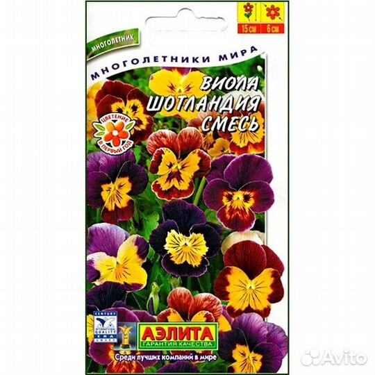Виола Шотландия смесь окрасок