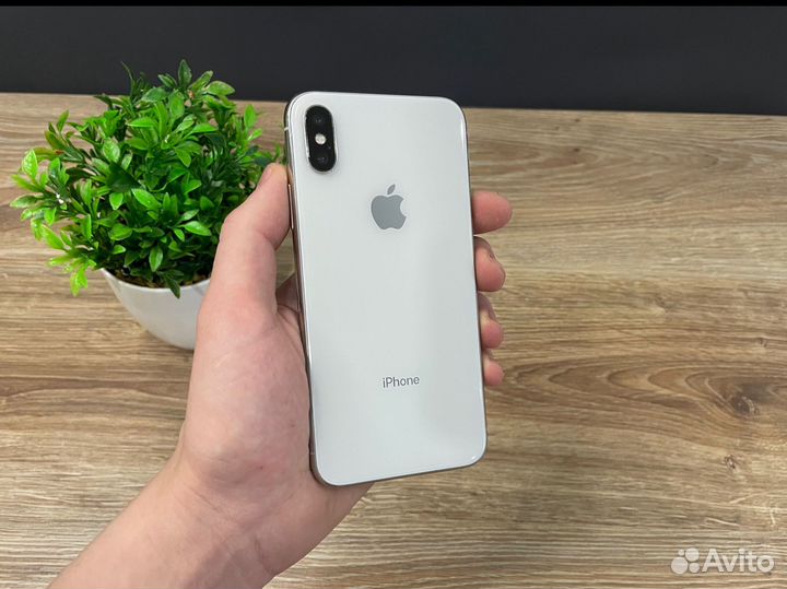 iPhone X, 256 ГБ
