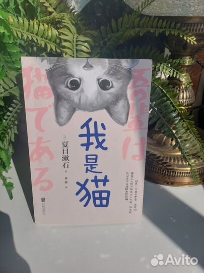 Книга на китайском 