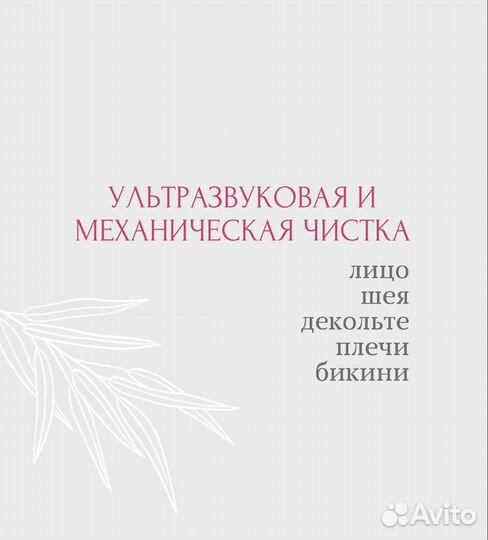 Ультразвуковая чистка