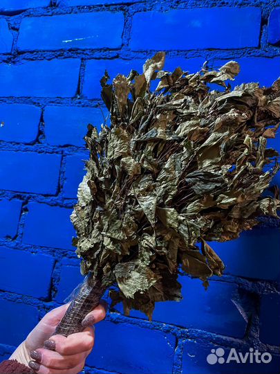 Веники дубовые и березовые