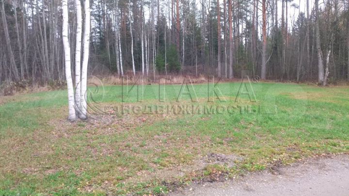 Участок 10 сот. (СНТ, ДНП)